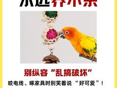 -爱侣宠医·鹦鹉专科·小型哺乳类·异宠专科(灵石路店)