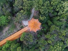-天鹿湖森林公园