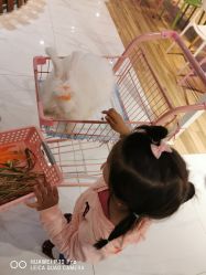 -Moni星球萌宠·小马宝莉·灵蛇·高端高阶全萌宠互动体验俱乐部(红豆国际广场店)