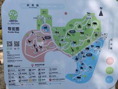 -红山森林动物园