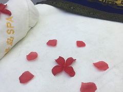 -汤臣海派理疗公馆