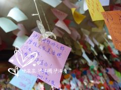大堂-泸沽肴(泸沽湖大洛水村农村信用社旁店)