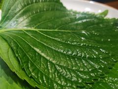 苏子叶-明洞阿姨·韩式酱蟹烤肉·创意料理(三元桥店)