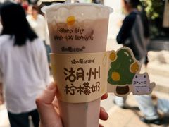 -猫的魔法密林(衣裳街店)