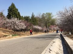 -北京鹫峰国家森林公园
