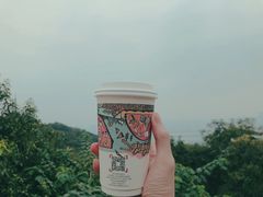 -茶颜悦色(岳麓山顶店)