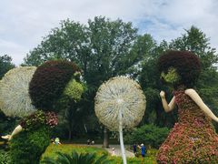 -北京植物园南门售票处