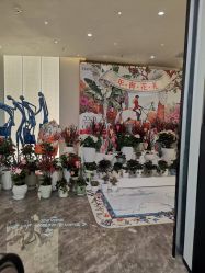 -韩辰医疗美容医院