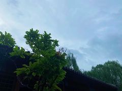 -北坞公园