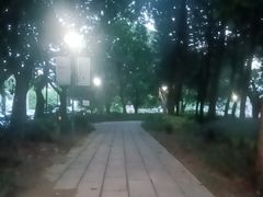 -光明港公园