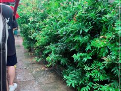 -王天顺海苔饼