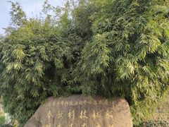 -南京科技馆