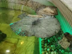 -泉城欧乐堡戏水湾艺术养生温泉