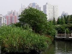 -苏州河梦清园环保主题公园