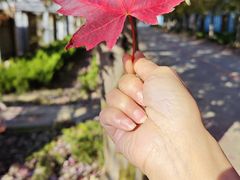-阳澄湖半岛旅游度假区