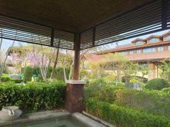 -大连金石滩绿发温泉假日酒店