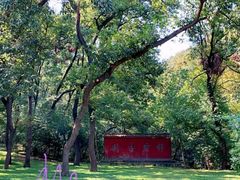 -金孔雀温泉旅游度假村