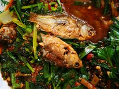 -陈有良尖椒鸡(江津总店)