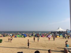 -碧海金沙