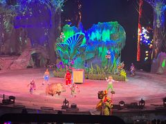 -广州长隆国际大马戏