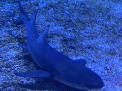 -海合安天津极地海洋公园