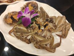 -草鱼先生潮州鱼生·虾生(新厦花园店)
