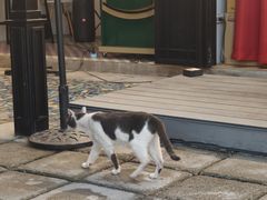 -宁曼路