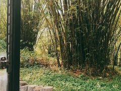 -三亚南山文化旅游区