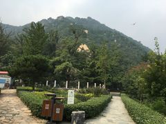 -北京鹫峰国家森林公园