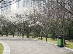 -苏州河梦清园环保主题公园