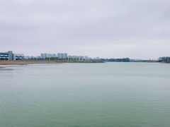 -贡湖湾湿地公园
