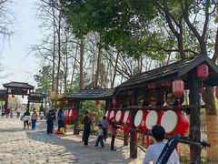 -合肥滨湖国家森林公园