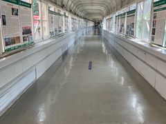 -首都医科大学附属北京友谊医院(西城院区)