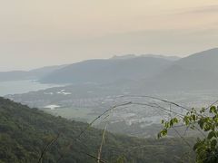 -三亚亚龙湾人间天堂鸟巢度假村