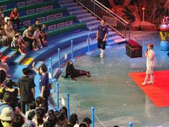 -烟台海昌鲸鲨海洋公园