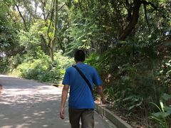 -南岗山公园
