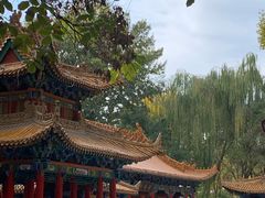 -鼓楼(兴庆区)