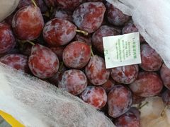 -西郊国际农产品交易中心