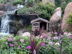 -罗红摄影艺术馆