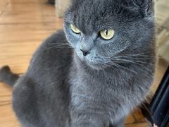 -春笙食堂.丼饭拉面寿司(GOGO新天地店)