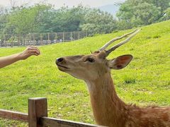 -良渚古城遗址公园