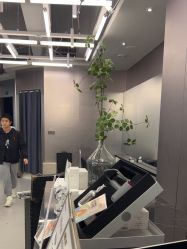 -东方麒麟·潘多拉SALON