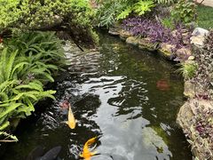 -聚福宝合苑食府(南头镇店)