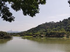 -风云岭森林公园