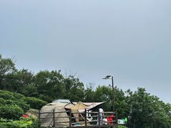 -长沙黑麋峰国家森林公园