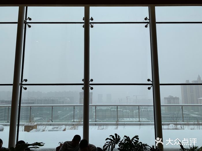 Seesaw Coffee(朝阳大悦城店)图片