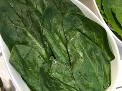 -澳洲肥牛火锅(转盘路店)