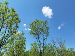 -天津东丽湖风景区