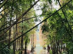 -广州市白云山风景名胜区