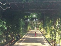 -武汉紫薇都市田园